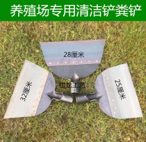 Pure steel chicken manure shovel chicken excrement shovel pig manure shovel farm large and medium small manure shovel raising chicken animal husbandry supplies scraping dung