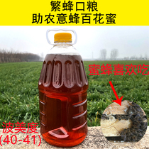 Feed bee honey 5 pounds of bee rations in natural honey bee feed bee feed pure bee