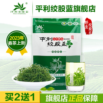 Buy 2 Send 1 ] Pingli strand Blue Tea Septuola Tea Flagship Store High Pressure Wild Extra