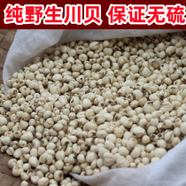 Authentic sulfur-free pure wild Fritillaria Fritillariae pine shell Sichuan super-grade traditional Chinese medicine rice shell 50g