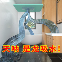 Water absorbent foot pad toilet diatom mud bathroom toilet non-slip shower silicone soil into the door quick-drying foot mat