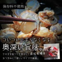 Super recommended Japan Hokkaido specialty large-grain burnt sashells instant motoberi scallop meat snack 450g original flavor