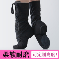 Dapingshan camel dance shoes womens soft bottom practice shoes teacher shoes steel pipe mens black lace-up high length canvas