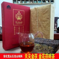 Hunan Zhongzhong special tianxin gold tile tea Anhua Yi Tea Black Tea Manufacture 1kg Anhua Li