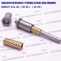 SSBGHY-Z12-40-(30-50)-(20-40) Miniature Ball Bushing Guide Assembly