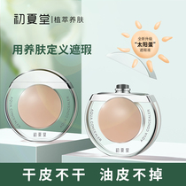 Early summer Hall Sun egg concealer liquid cream A pen to cover the face acne marks freckles Dark circles Waterproof
