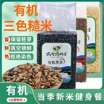 Tapu has the opportunity of three-color brown rice new rice grains fitness coarse grain brown rice fat reduction germ black rice red rice
