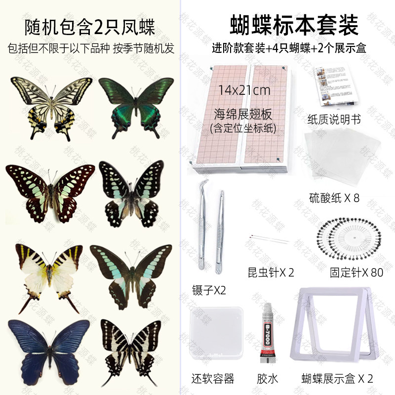 展翅蝴蝶标本-展翅蝴蝶标本促销价格、展翅蝴蝶标本品牌- 淘宝