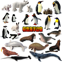 Simulation polar ocean animals Penguin polar bear model toy seal walrus lion Plastic childrens cognitive gift