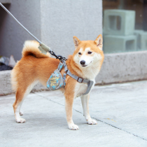 TOUCHDOG it dog pickup bag pet poop bag pet poop bag cat shit bag