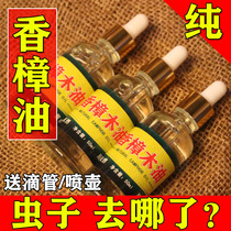 Camphor wood oil natural camphor oil pure camphor wood camphor tree tree essential oil