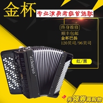 Gold Cup Accordion Bayan Accordion 120 Bass 96 bass 60 bass JH5120 JH5096 Bayan performance