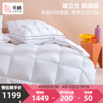 Lechlea home spinning bed Winter quilts by coveted duvet quilted by double warm partition lock warm and warm 95 goose down by single double