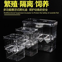 Fish Tank Isolation guppies breeding box incubator box fighting fish tropical fish small fish juvenile extra large isolation box delivery room
