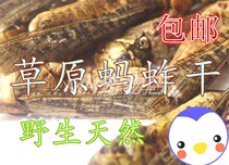 High quality dried dried grasshopper dried grasshopper dried grasshopper dried grasshopper dried grasshopper dried grasshopper dried