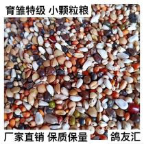 Special boutique brood super small particle feed bird food pigeon ornamental pigeon meat pigeon grain 40kg bag per bag