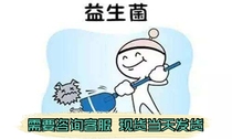 Taiwan composite probiotics Taiwan imported active probiotic powder probiotics