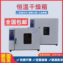 Electric constant temperature blast drying oven laboratory commercial industrial oven size oven vacuum high temperature drying box