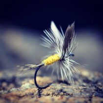 Lefly fishing-The Adams finished wool hook imports naked hooks and materials