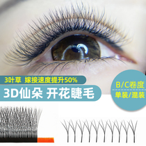 Clover eyelash grafting soft hair yyy3d flowering planting 0 03 Mei Zi shop special mixed suit y false eyelashes
