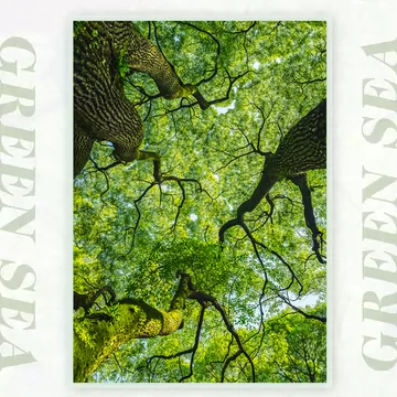 InGooooD -ジグソーパズル 1000 白い孔雀 -木製パズル 大人 向け 並行輸入 デスクマット(星座A) ニトリ 玄関先迄納品 : ニトリ