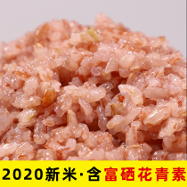 Yunnan terraced red rice 10kg soft rice non-polished red rice germ germ porridge rice coarse grains 5kg brown rice