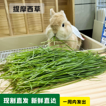 Fresh Nantiti Moses fresh grass (4 parts) Beti rabbit Dutch pig ChinChin forage grain 250g