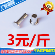  Factory direct sales galvanized solid iron rivets M3M4M5M6-M30 flat head percussion rivets natural color iron rivets