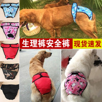 Pet mother dog health pants female dog menstrual period underwear golden hair Big Dog Teddy small dog health aunt towel