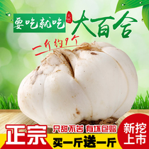 Lanzhou Lily fresh lily 500g edible sweet Lily Gansu specialty natural non-dry goods