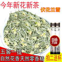 Jasmine tea 2021 new tea super strong fragrant Bitan grade bird tongue orchid snow bulk Sichuan Snow jasmine tea