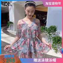 DK conservative net red swimsuit female fat mm one-piece skirt Korean belly cover thin hot spring sexy plus size swimsuit