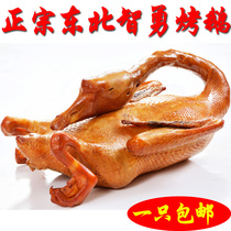 Northeast specialty Harbin Hulan Zhiyong Lis roasted goose roast goose cooked food snacks gift New year goods only full of food