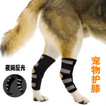 Dog reflective knee leg pads pet luminous protection joint sheath dog leg care corrective protection support