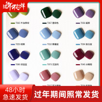 Frosted seal layer nail polish 2021 new matte Morandi nail suit autumn and winter nail haze blue