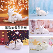 New photography background Cat and dog small pet photo background paper small toy products professional shooting background cloth