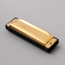  Golden 10 Holes Blues Swan Harmonica G Key W Case Gift For M