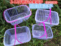 2kg-12kg Strawberry Basket Bayberry basket white new material fruit basket picking basket loquat Cherry Mulberry