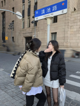 THESVN Korean simple zipper warm jacket 2021 Winter short style collar fashion down jacket women