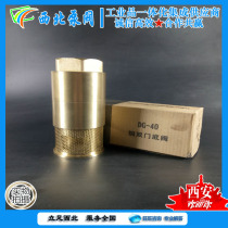 Pure copper tanker bottom valve DN40 1 5 inch double door check filter valve oil tanker one-way anti-backflow valve 2 inch
