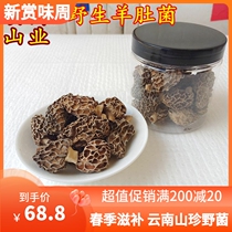 Wild amygtat dry cargo rare Yunnan mushroom scent rich nutrient shear handle 2 - 4 cm