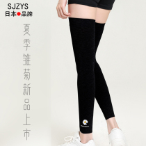 Japanese kneecap female summer lady joint thermal protection leg autumn summer old chill leg knee jacket protective paint for summer thin