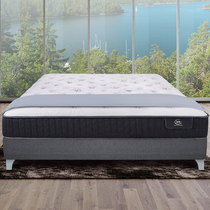 Serta American Shuda Jiales latex mattress Miao Er buckle spring edge reinforcement official flagship store