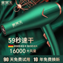 German imported hair salon hair dryer home 3000W barber shop dedicated high-power negative ion hair care dormitory quiet
