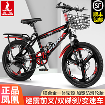 Phoenix Childrens Bicycle Boy Middle School Children Girl Mountain Bike 18 inch 20 inch 22 inch Primary School Student Mountain Bike