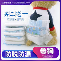 Dog health pants diapers Teddy diapers pet menstrual pants bitch aunt towel male dog safety pants