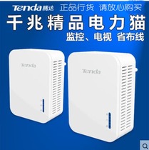 Tengda Wired gigabit power cat P1000 X2 pair set 1000m power line adapter IPTV