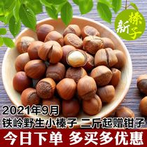 2021 New Hazelnut Tieling Wild Little Hazelnut Northeast Special Paper Leather Hazelnut 500g Nuts Snacks Special