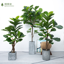  Qin Ye banyan Nordic green plant floor simulation plant turtle back leaf bonsai potted rubber tree shopping mall creative ornaments