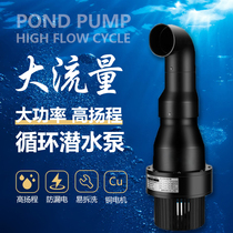 AK landscape courtyard outdoor large flow high power koi fish pond circulation large frequency conversion submersible pump filter pump